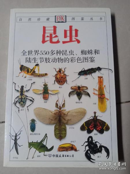 c9526c0e655fcffb_n.jpg
