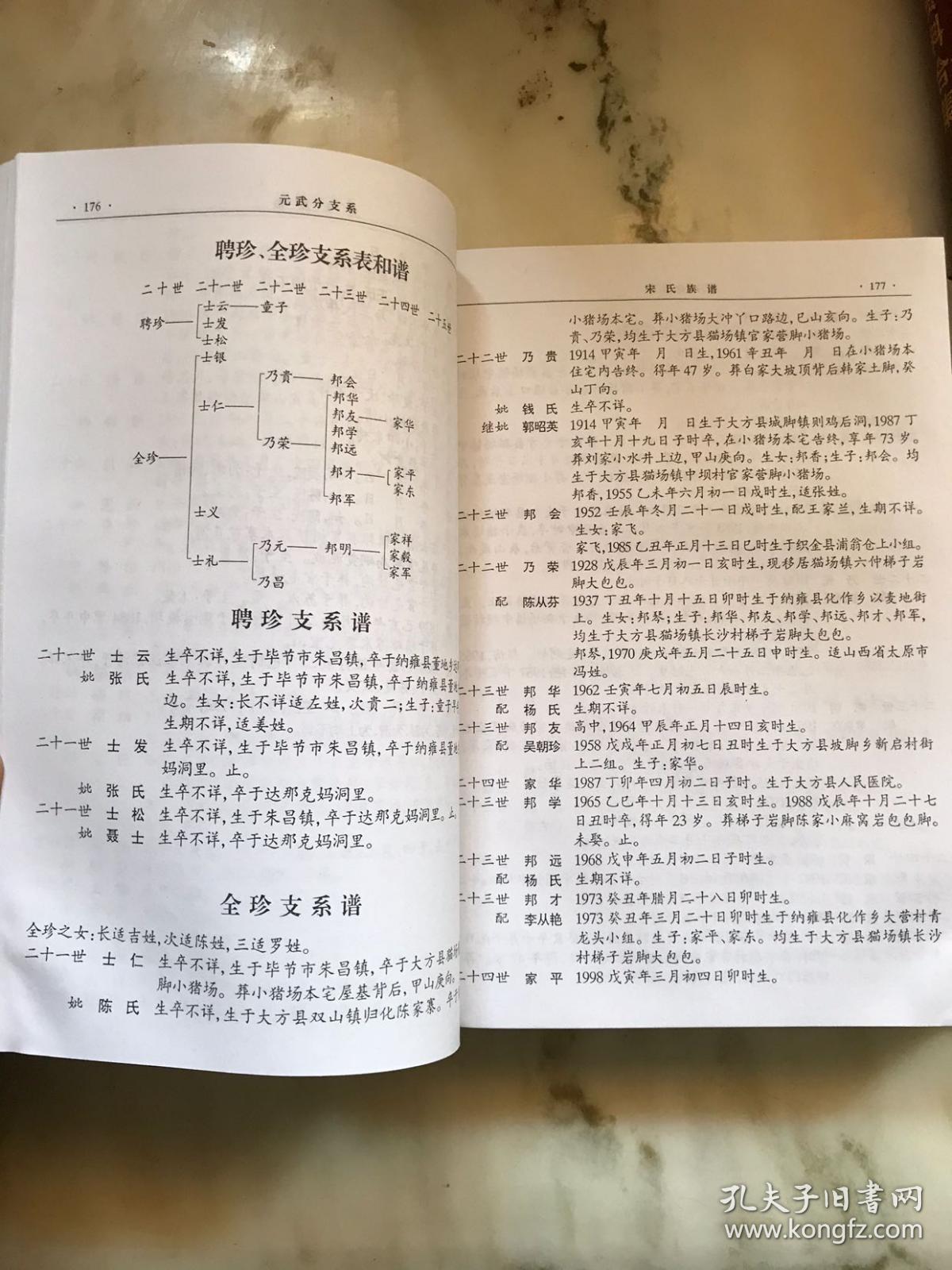 宋氏族谱 京兆郡*毕节