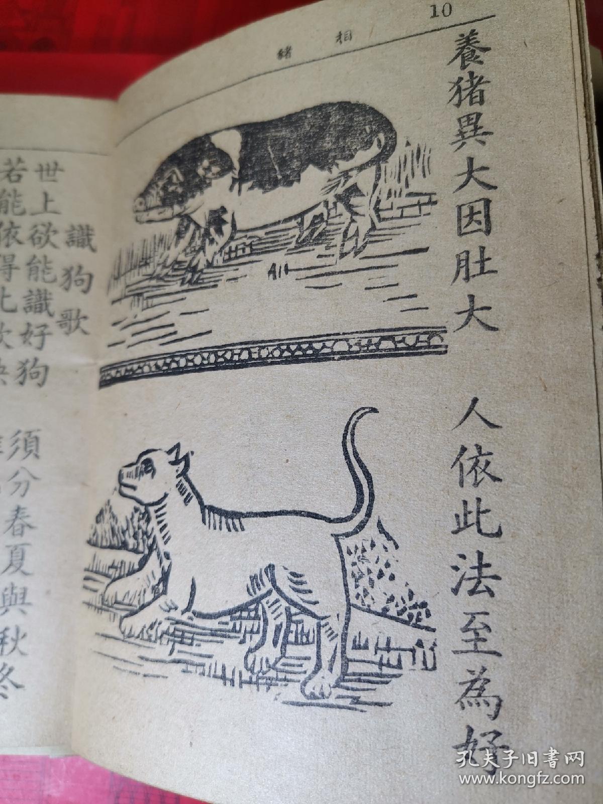 复印件.民国-新编精印 猫狗相法(繁体字竖文 醉经书局印行.