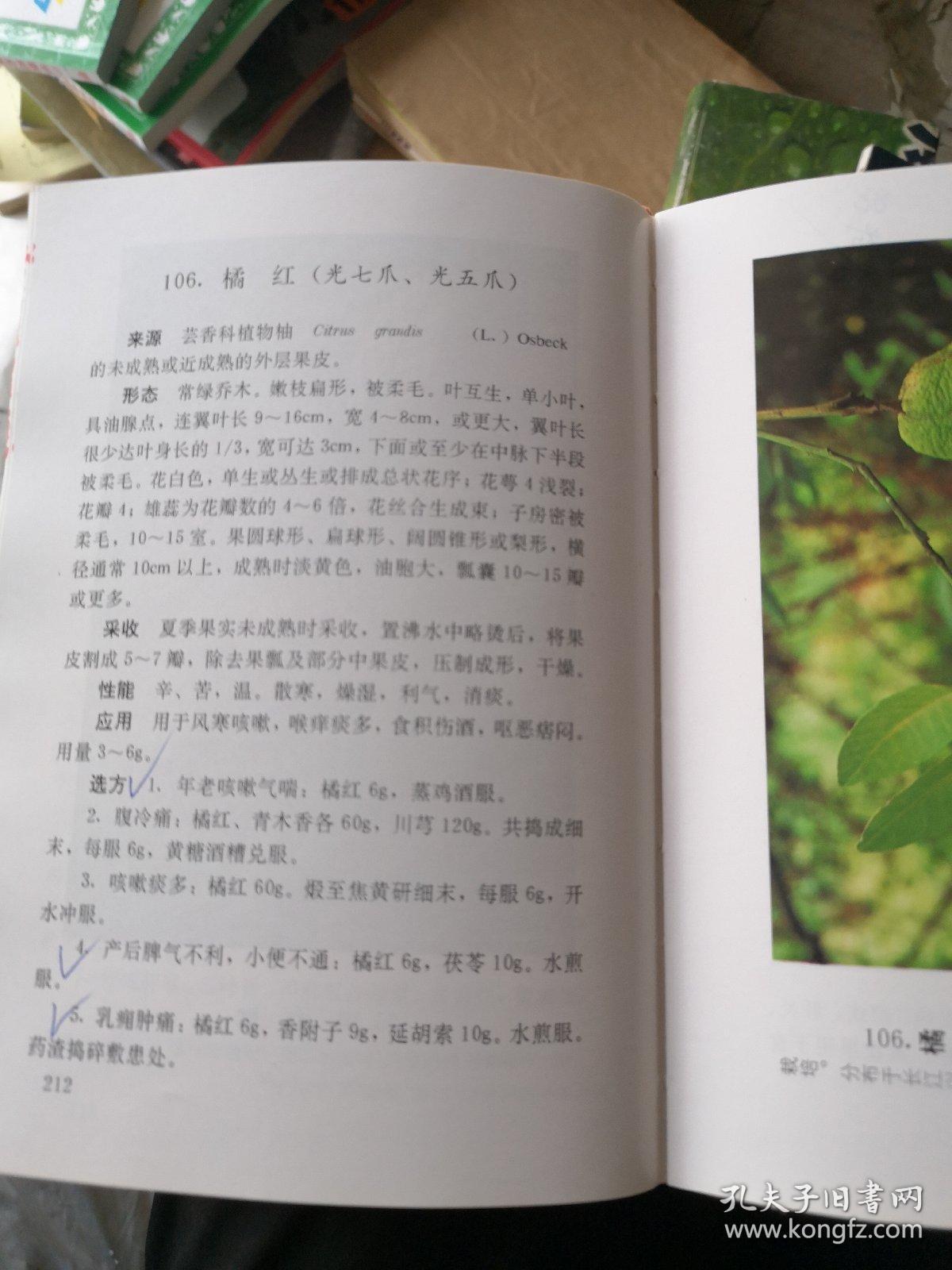 原色简谱_三原色简谱(2)