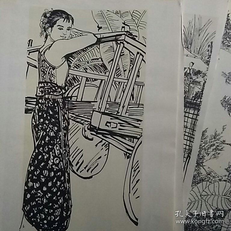西双版纳白描写生集(36页全)_丁绍光_孔夫子旧书网