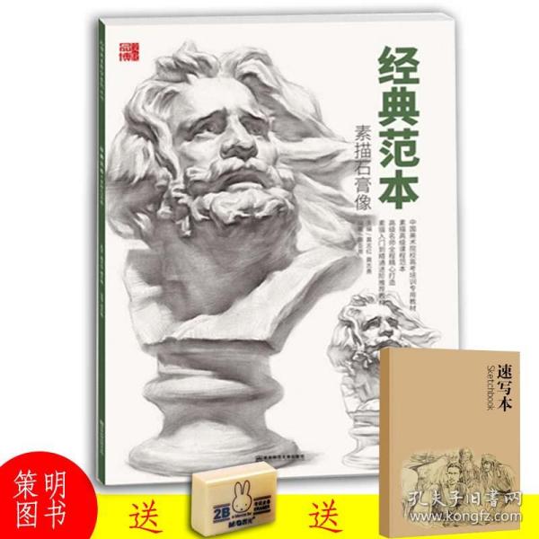 蔡亚男编石膏像素描基础结构素描五官步骤解析照片对画石膏头像临摹