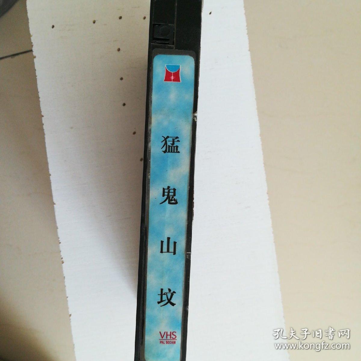 录像带猛鬼山坟