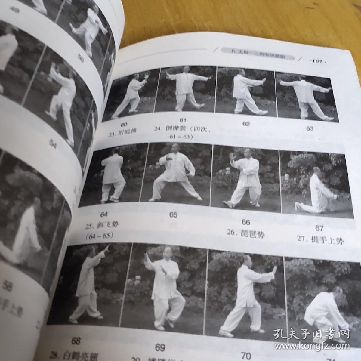 太极十三势述真——太极拳学实践与提高