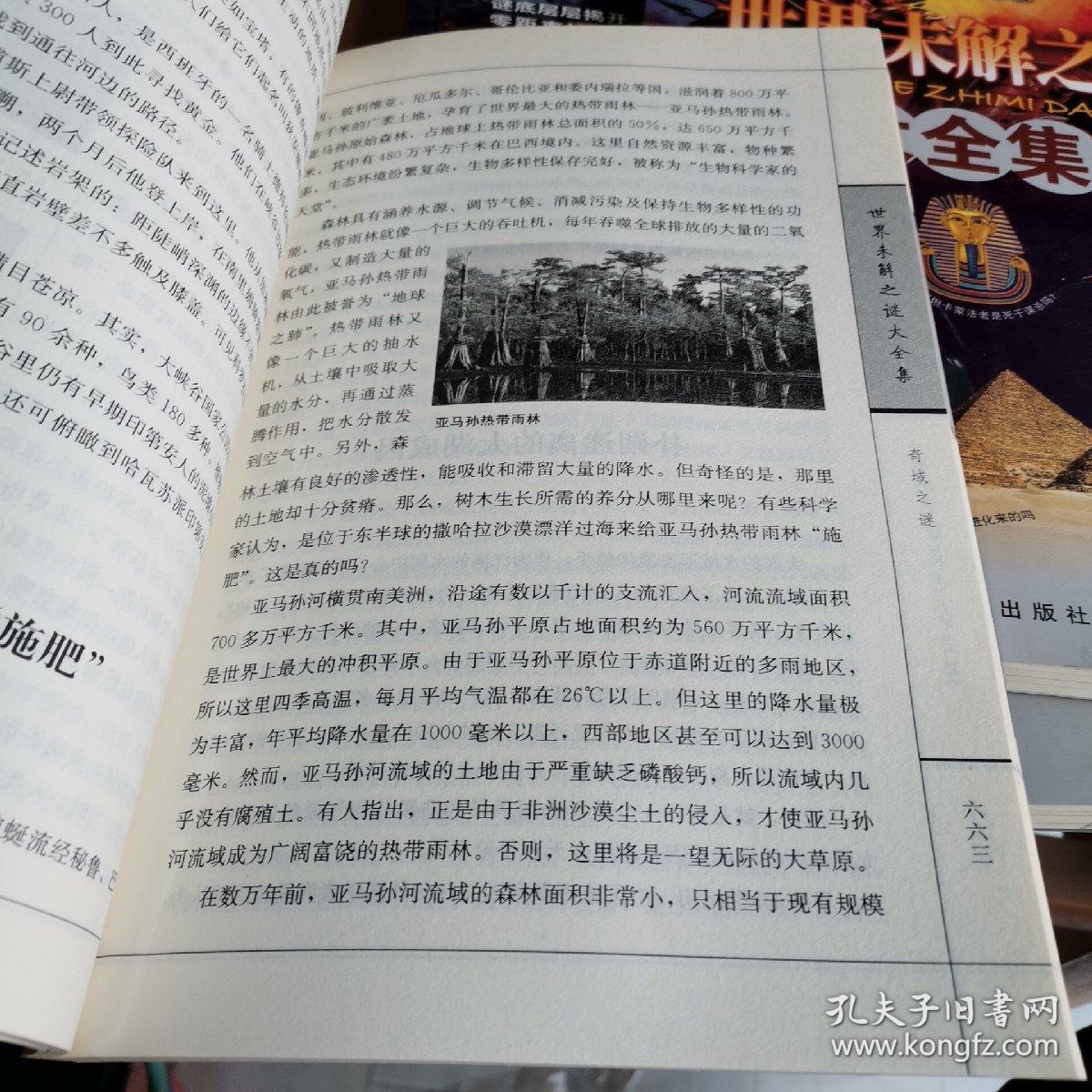 caf97336b9191096_b.jpg