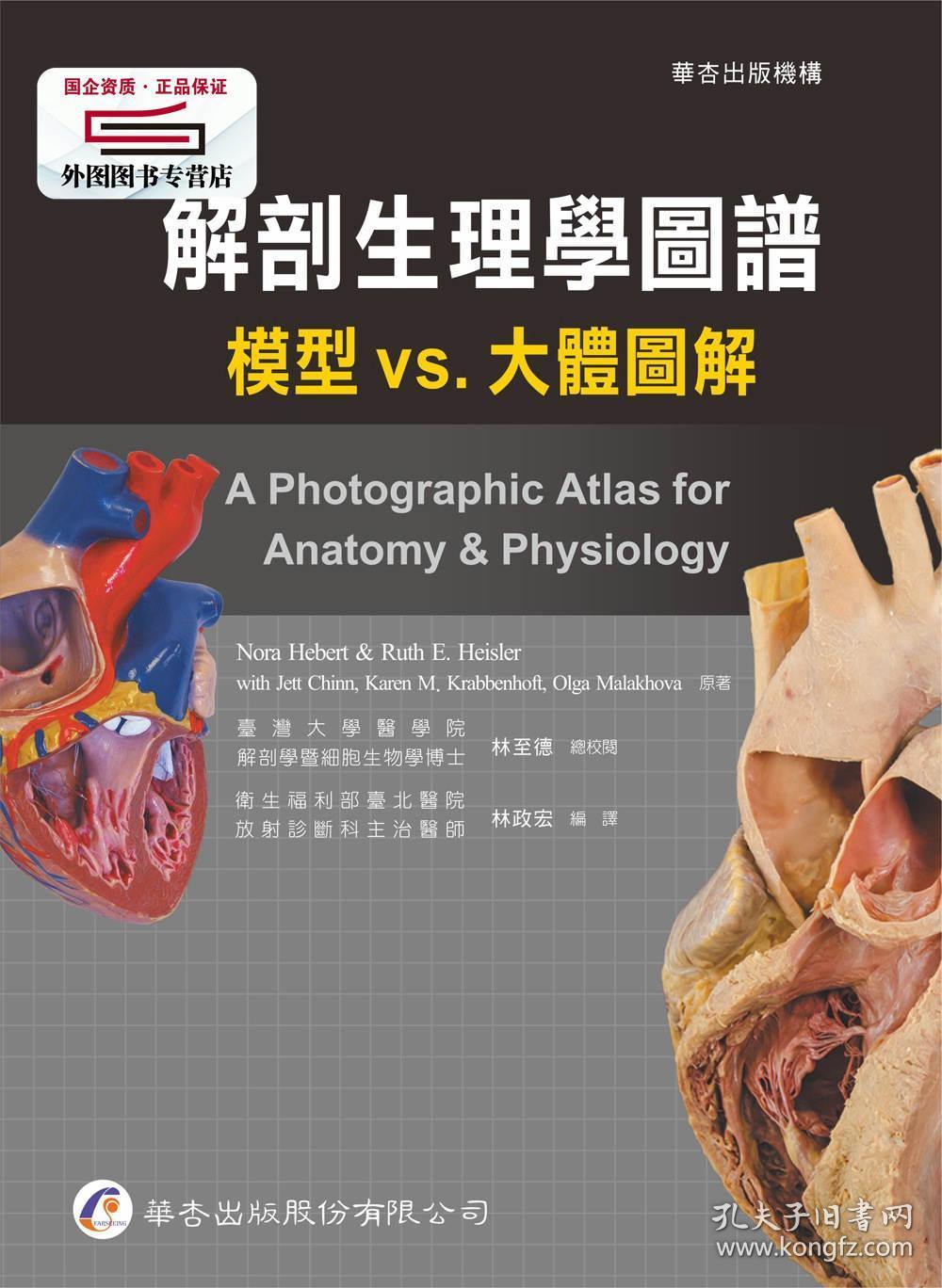 解剖生理学图谱:模型vs.大体图解