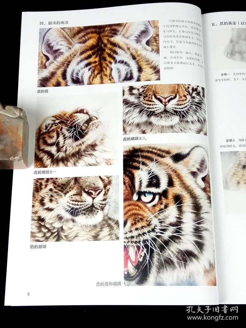 工笔猛兽技法 名家国画示范教程