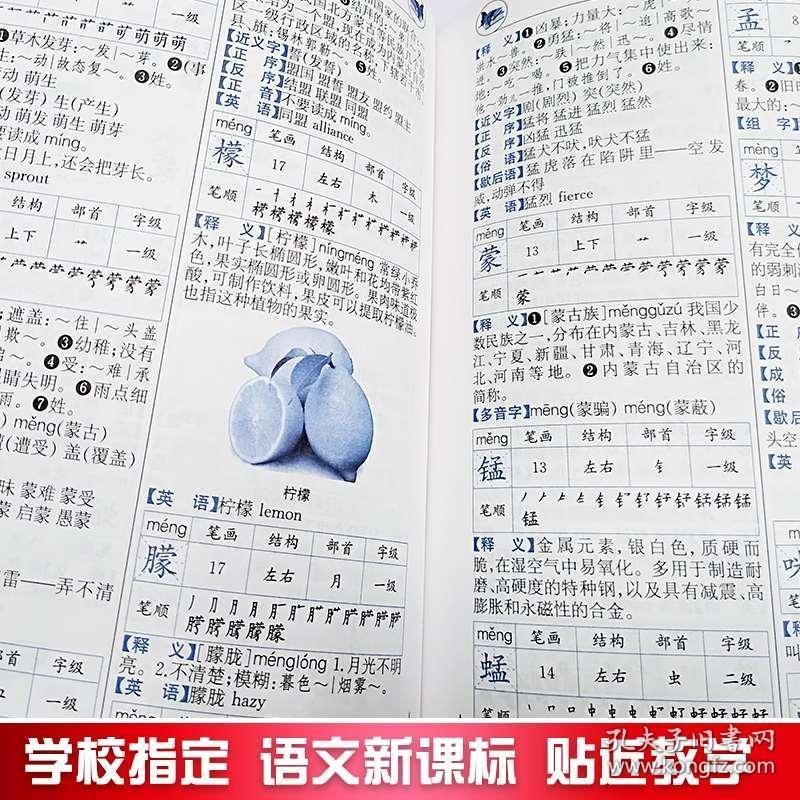 最高大的人成语是什么_狼和人什么成语(2)