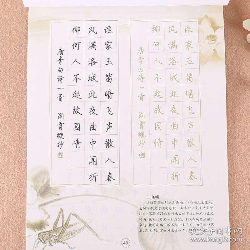 仿宋字帖小学生初学者成人字帖硬笔书法基础写字教程临摹本钢笔练字