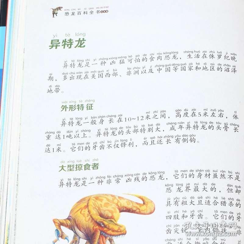 cce1ddfa698a71c8_b.jpg