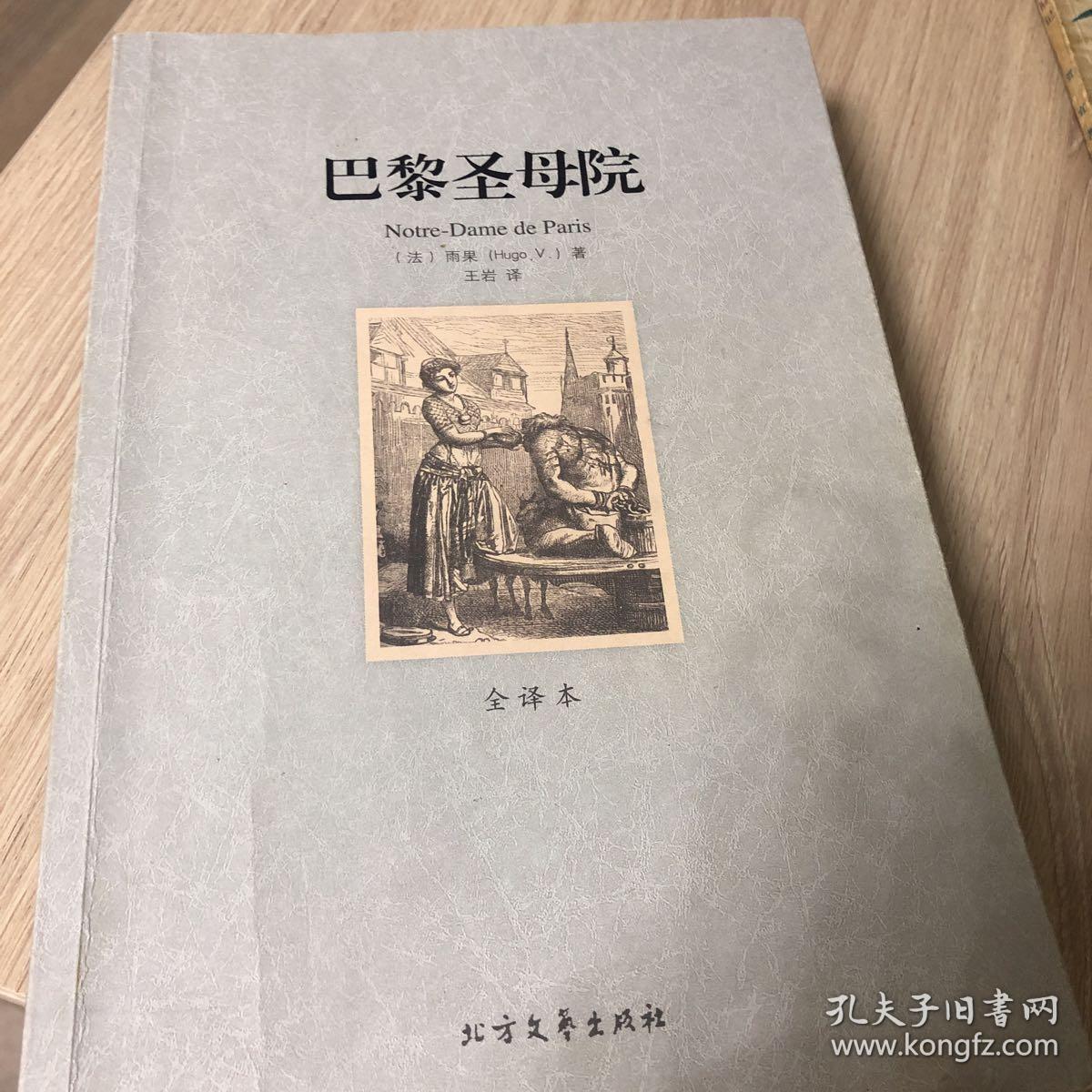 世界文学名著:巴黎圣母院