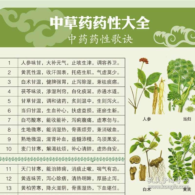 理论中药学中草药图谱大全书 药物医学书籍中草药方处方中药养生书籍