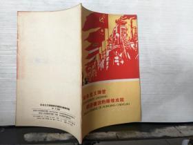 社会主义阵营经济建设的辉煌成就