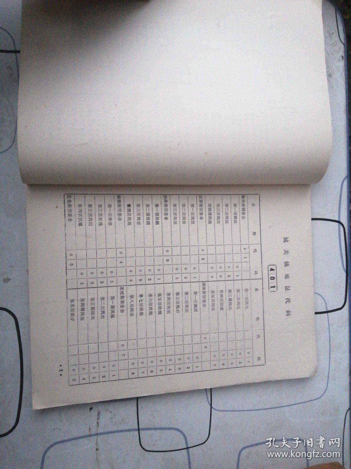 人口普查常见编码_人口普查