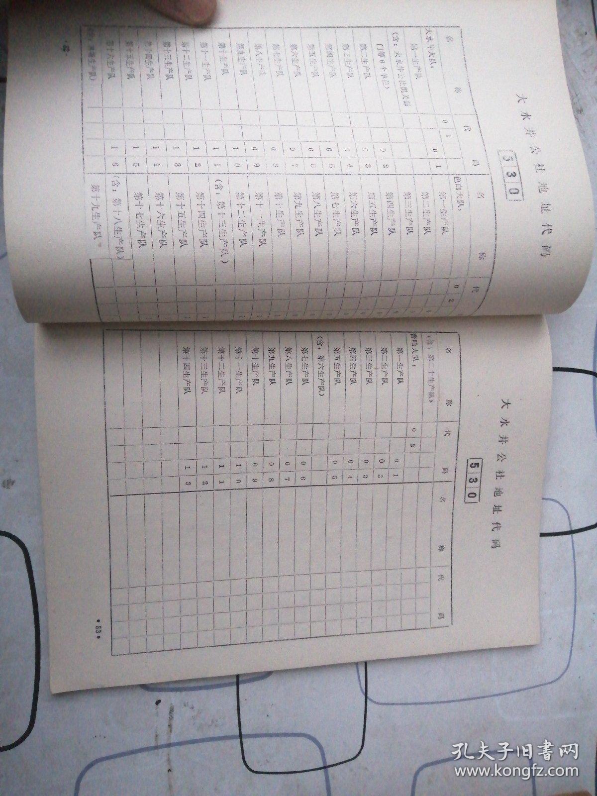 人口普查常见编码_人口普查