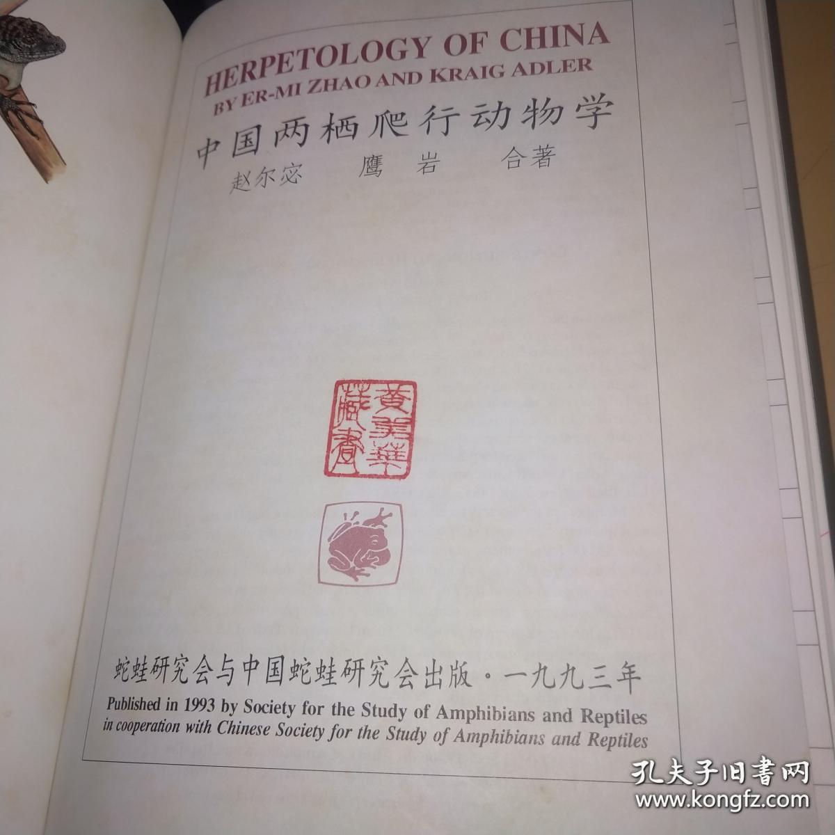 cd339ece596d8650_b.jpg