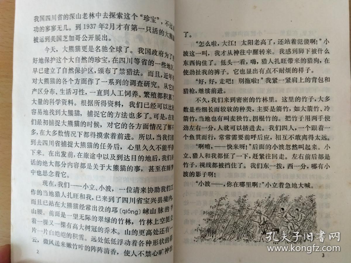 擒兽记曲谱_擒爱记丁磊图片(2)