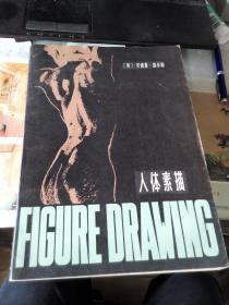 人体素描
