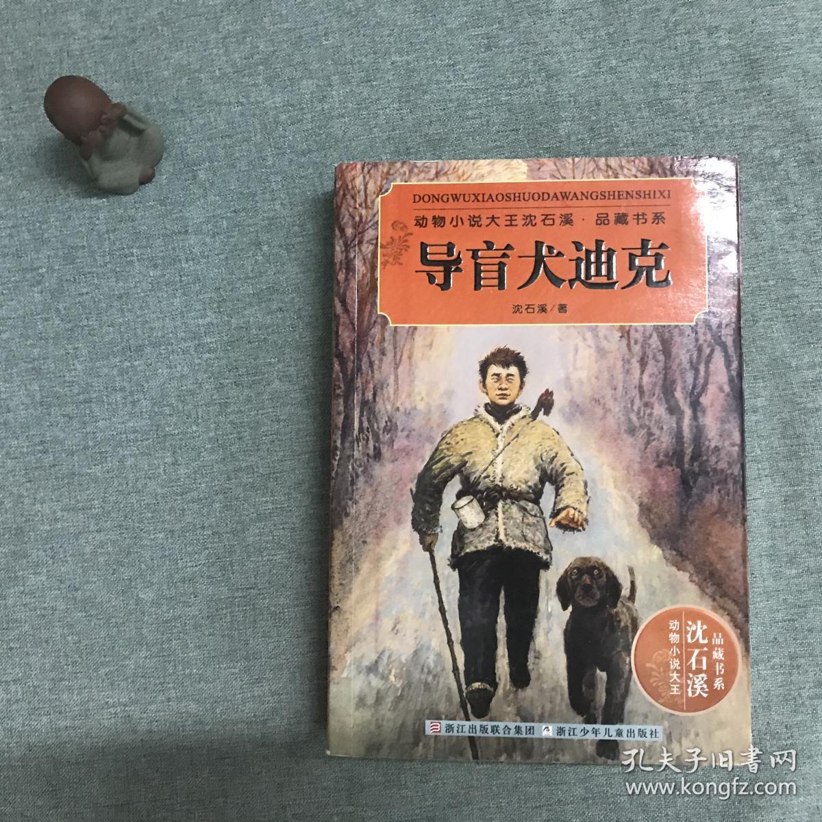 动物小说大王沈石溪·品藏书系:导盲犬迪克 [11~14岁]