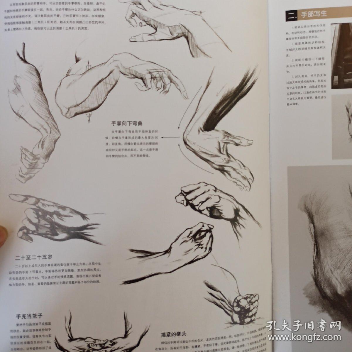 画手 美术绘画手的画法正版新书