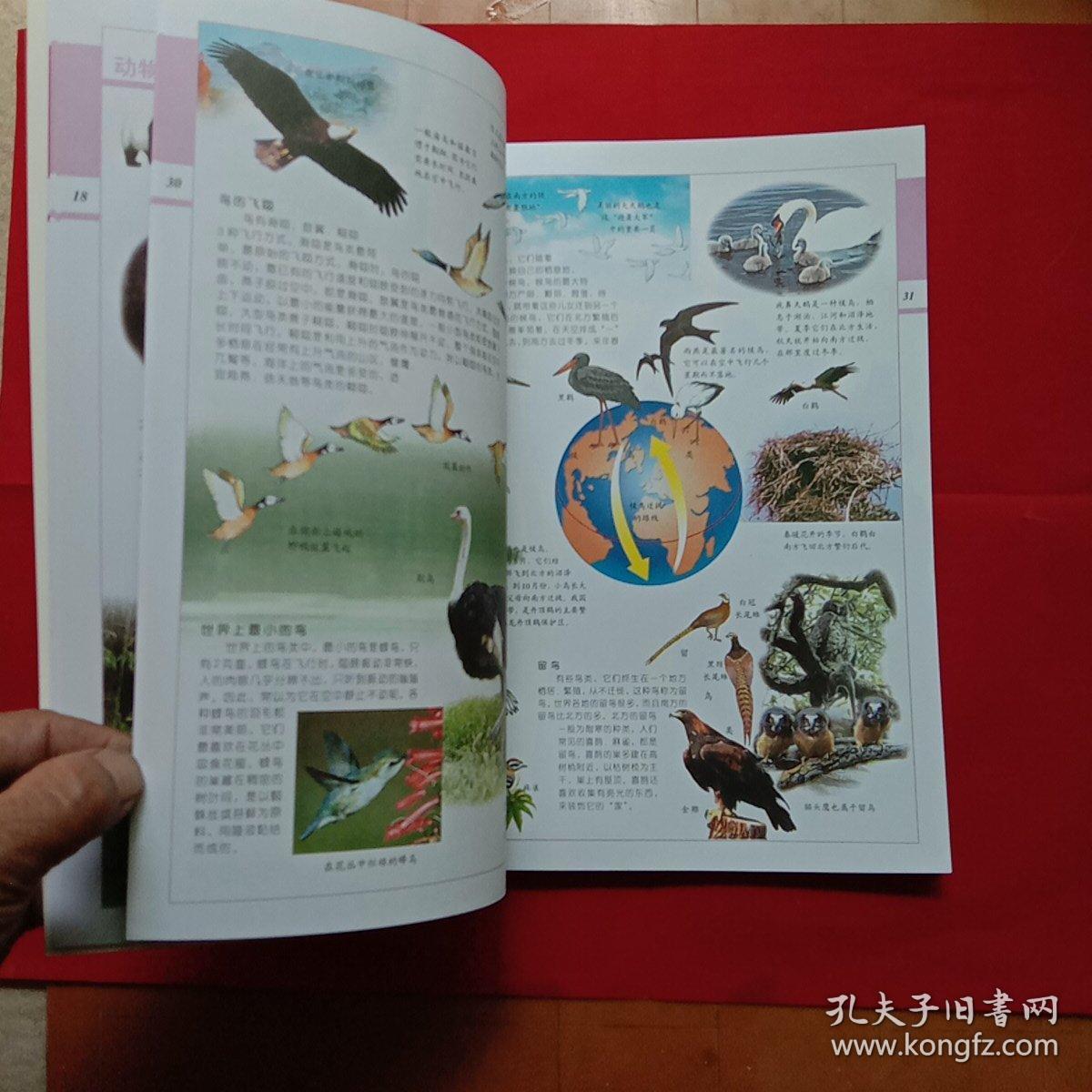 中国儿童百科全书:动物植物