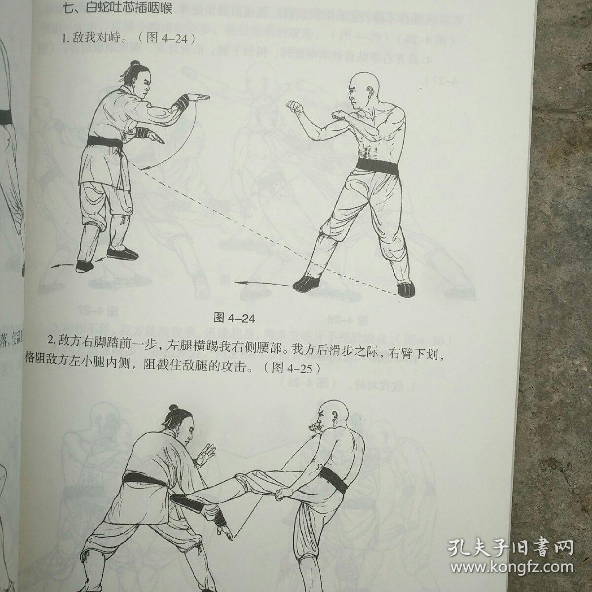 蛇拳秘传绝技十象形拳法集锦