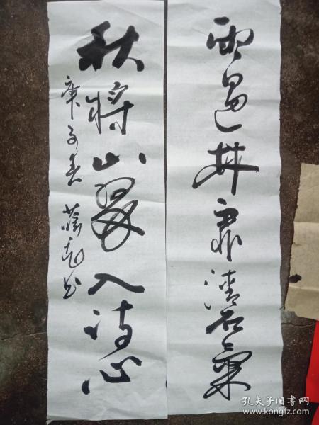 短剧之光——王心雨的魅力之旅