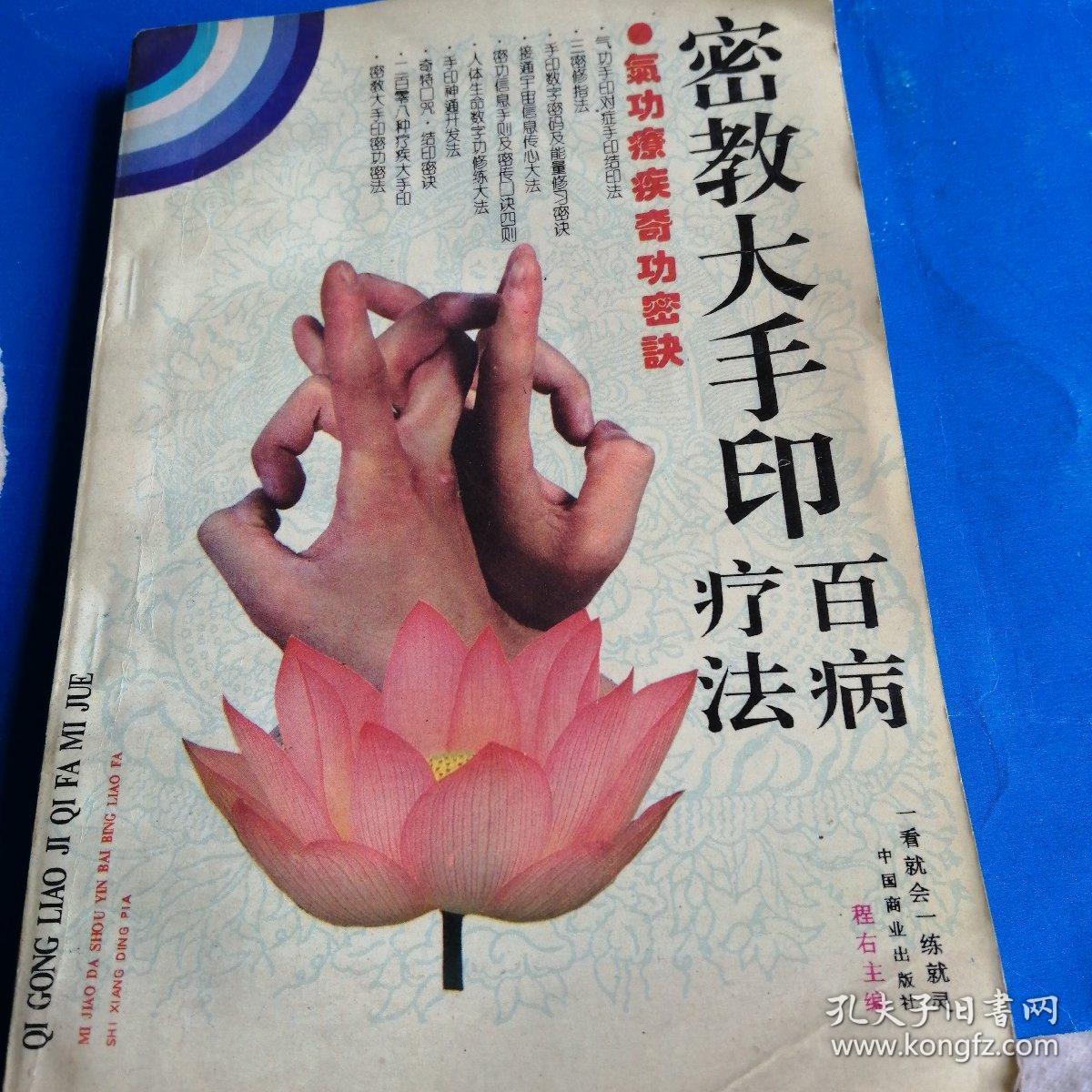 密教大手印百病疗法