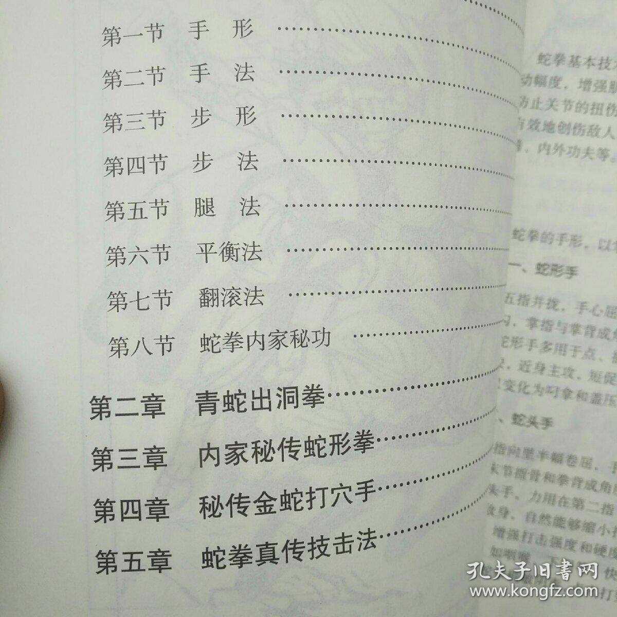 蛇拳秘传绝技十象形拳法集锦