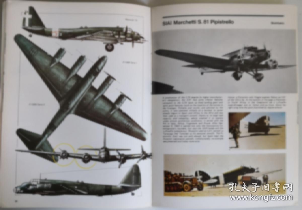 英文原版大开本italian aircraft of wwii二战意大利空军装备作战机型