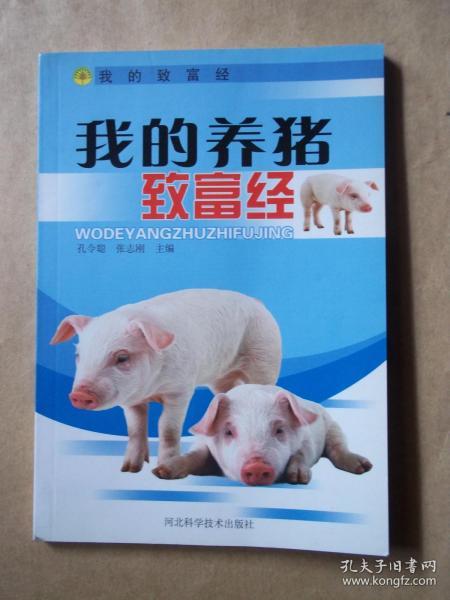 猪短剧全集，欢乐的猪年时光