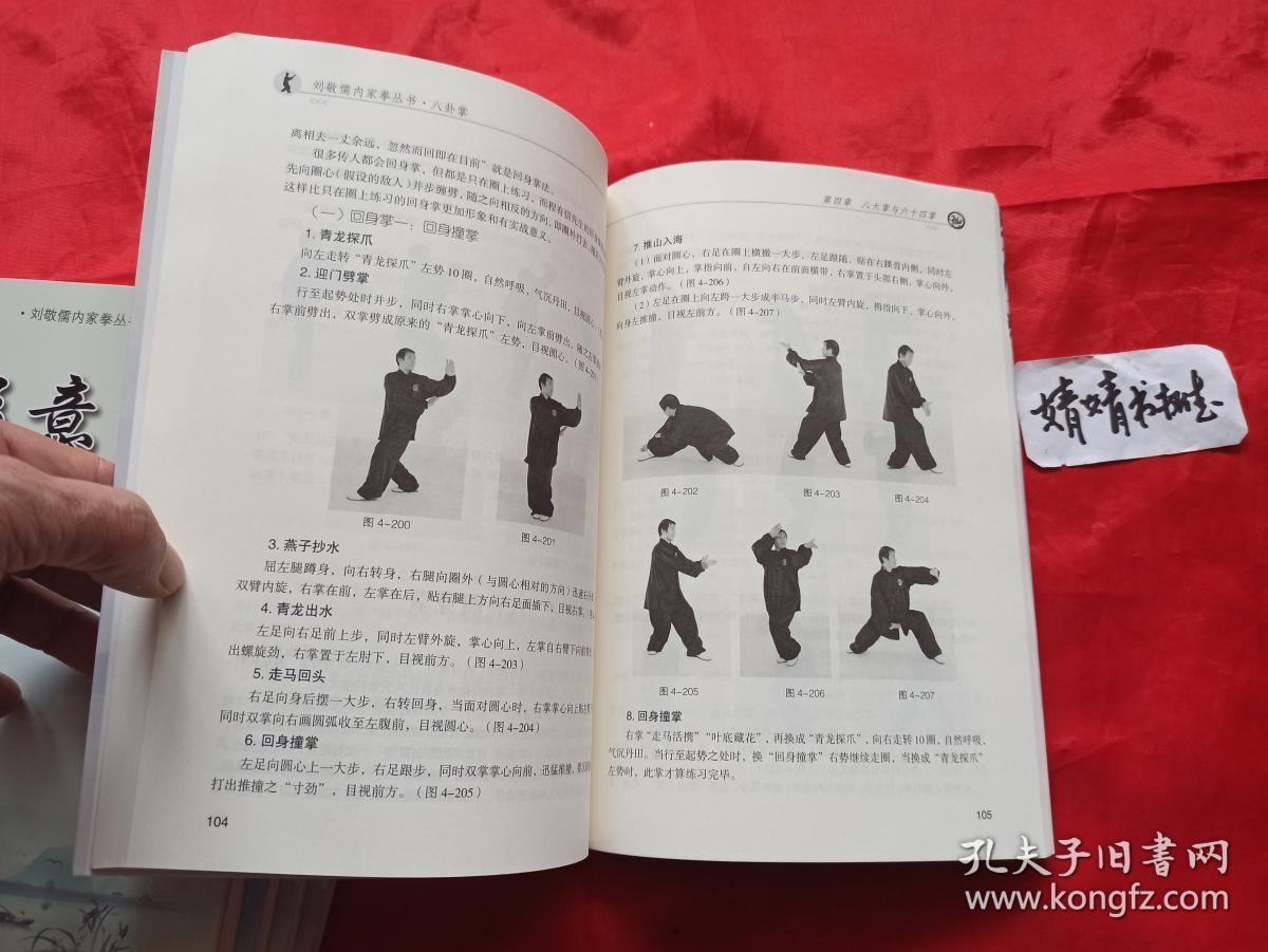 八卦掌刘敬儒内家拳丛书全五册正版心意太极拳内家拳类精典书籍真人