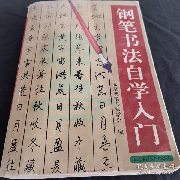 钢笔 书法 自学 入门
