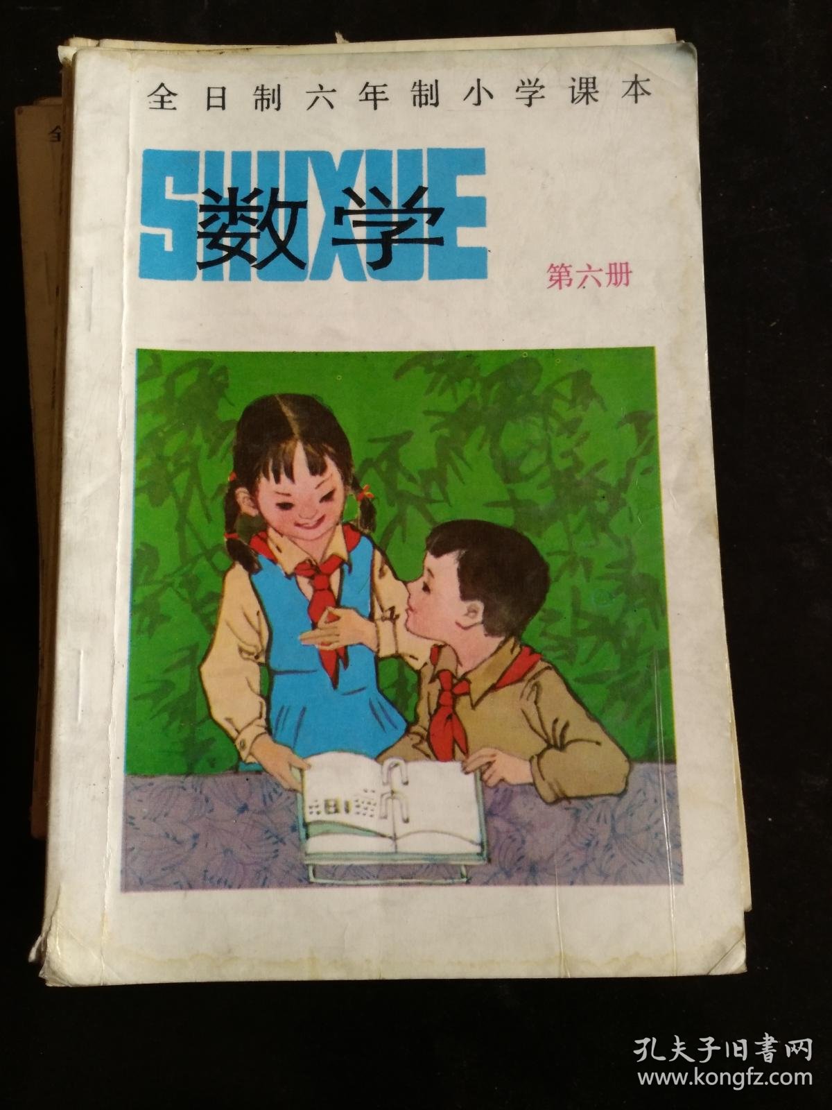 d0faa93a305755d6_b.jpg