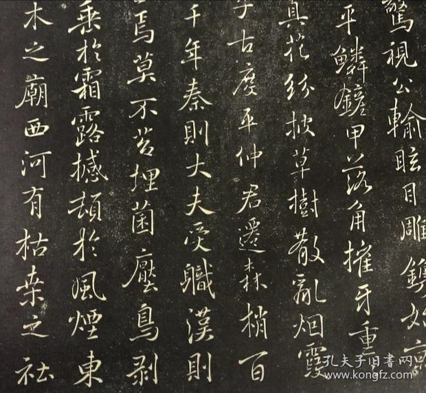 褚遂良枯树赋 29.5*102防水绢布复制