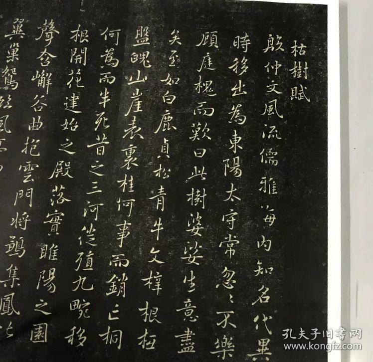 褚遂良枯树赋 29.5*102防水绢布复制