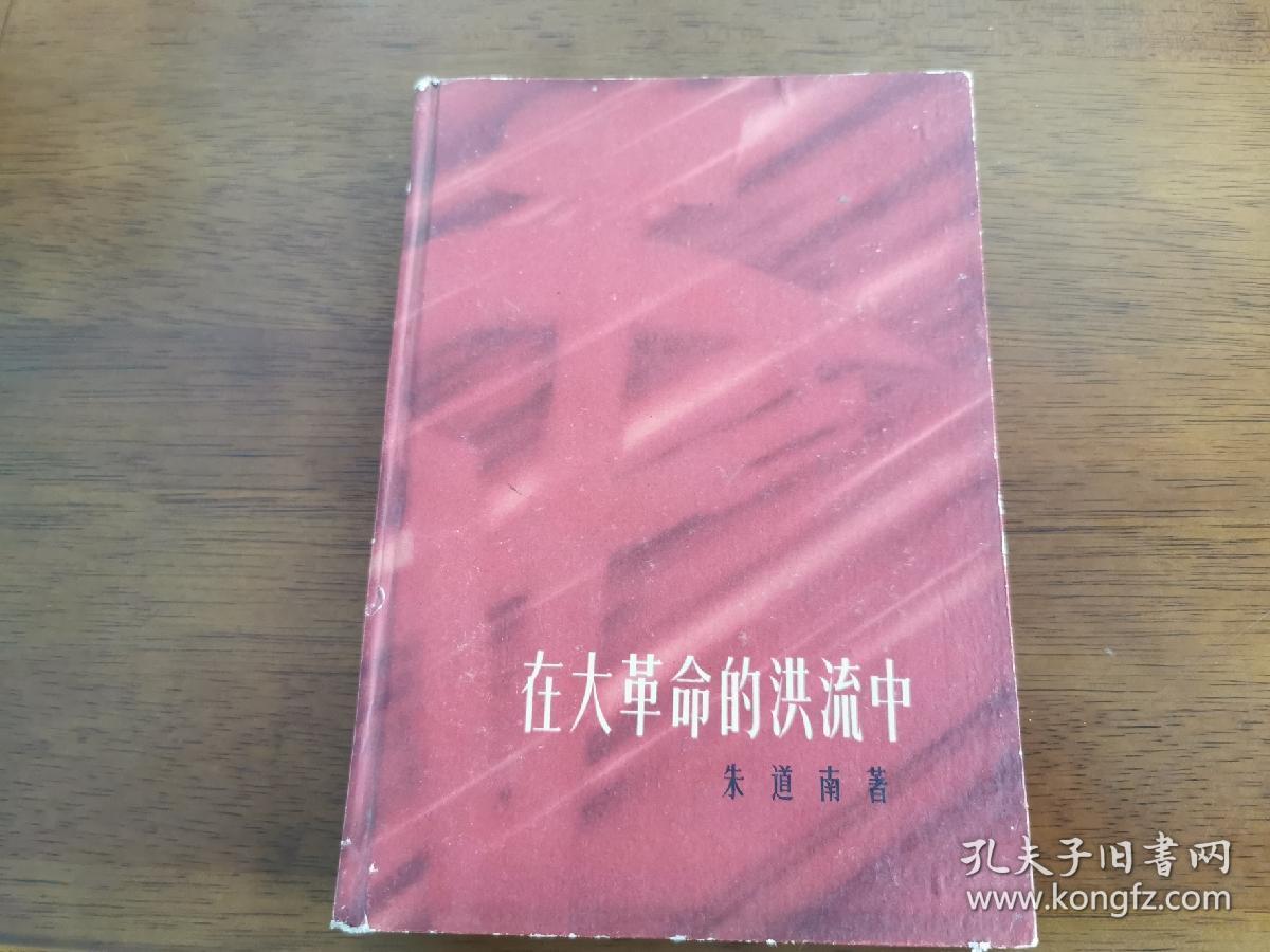 红色文学 /十七年文学【在大革命的洪流中】老版精装 私藏品好 精美彩