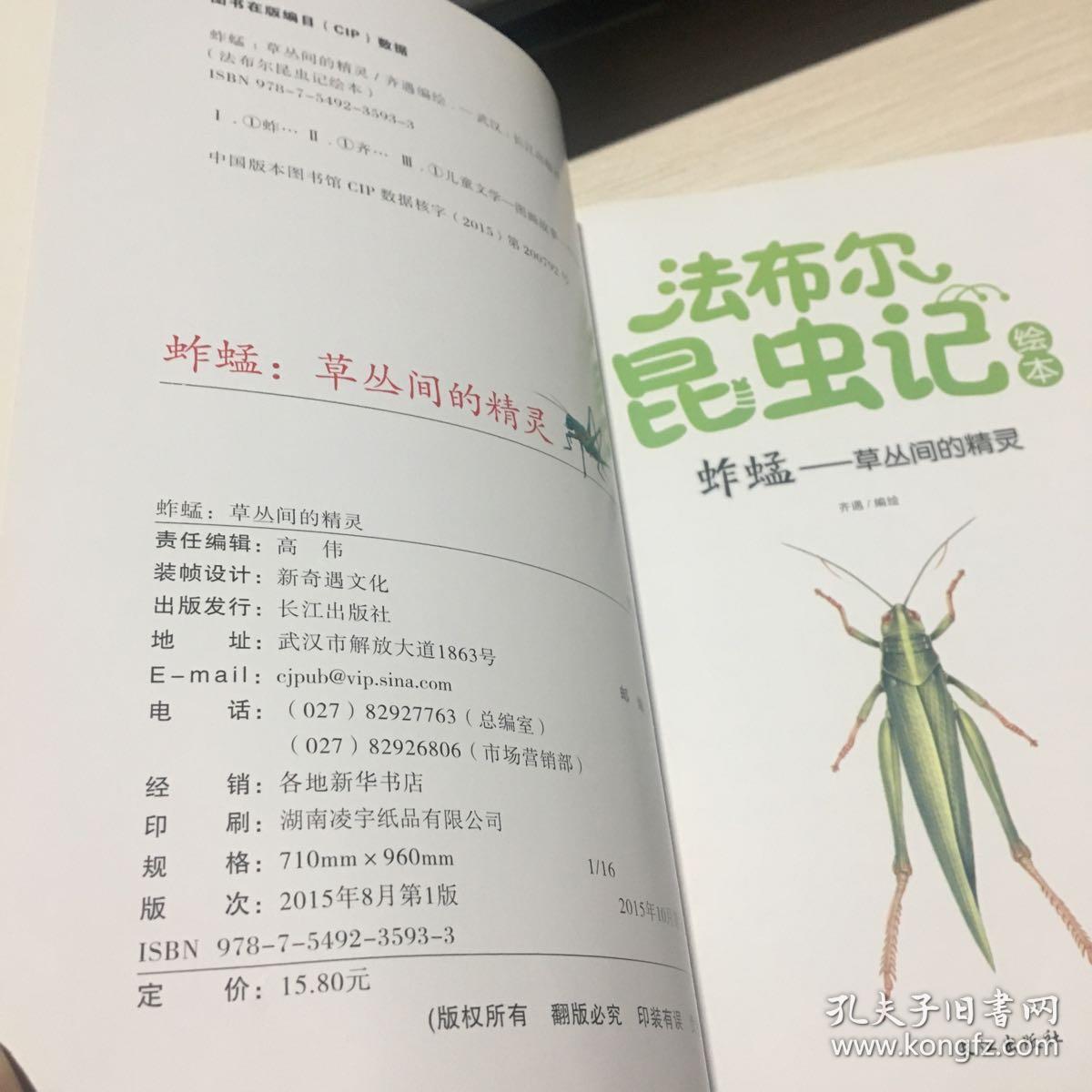 法布尔昆虫记绘本 蚱蜢:草丛间的精灵(彩绘美图版)
