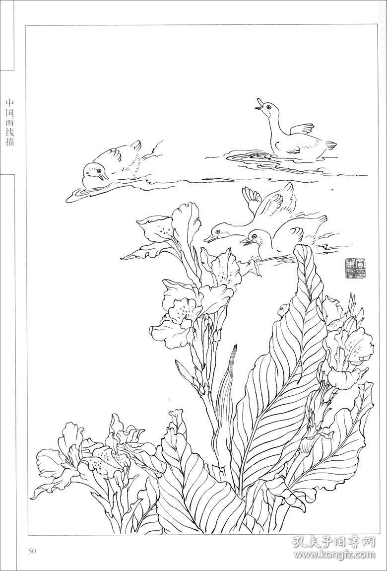 花鸟画谱 中国画线描 贾万庆绘 天津杨柳青画社 工笔花鸟画作品集