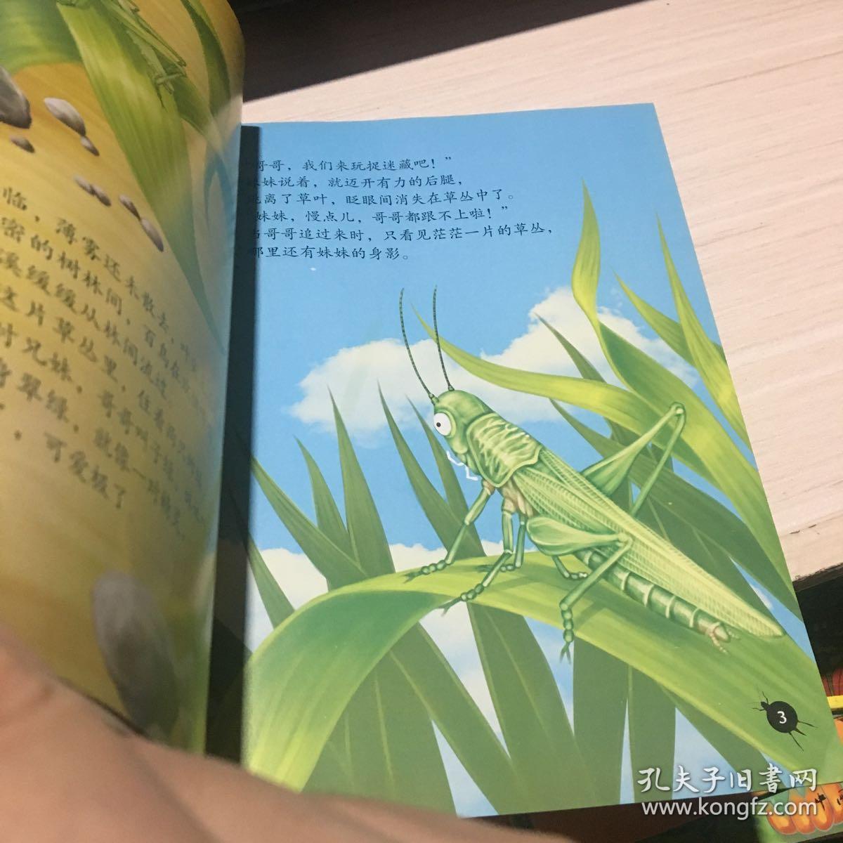 法布尔昆虫记绘本 蚱蜢:草丛间的精灵(彩绘美图版)