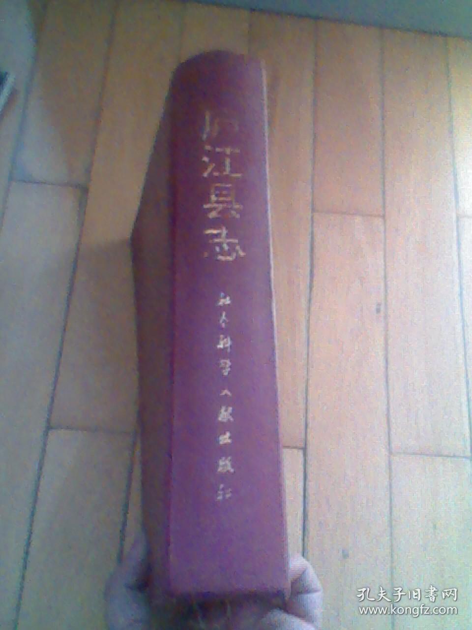 庐江县志