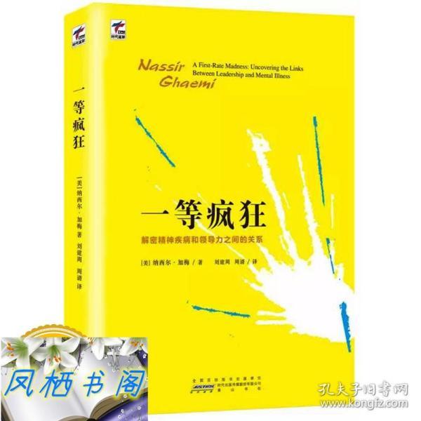 一等疯狂/精神分裂躁狂抑郁症的故事那个特别的疯子万千心理学我穿越