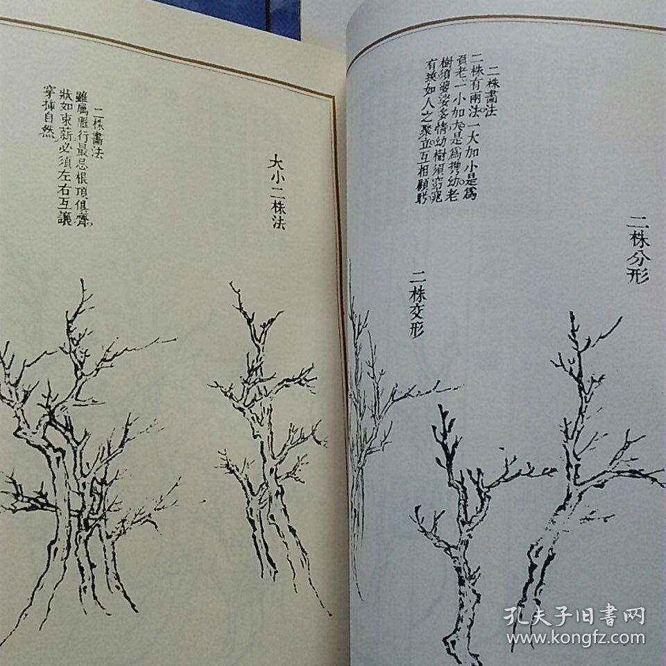 芥子园画谱(套装共4册)正版