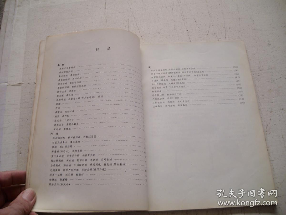 农林简谱_西北农林科技大学