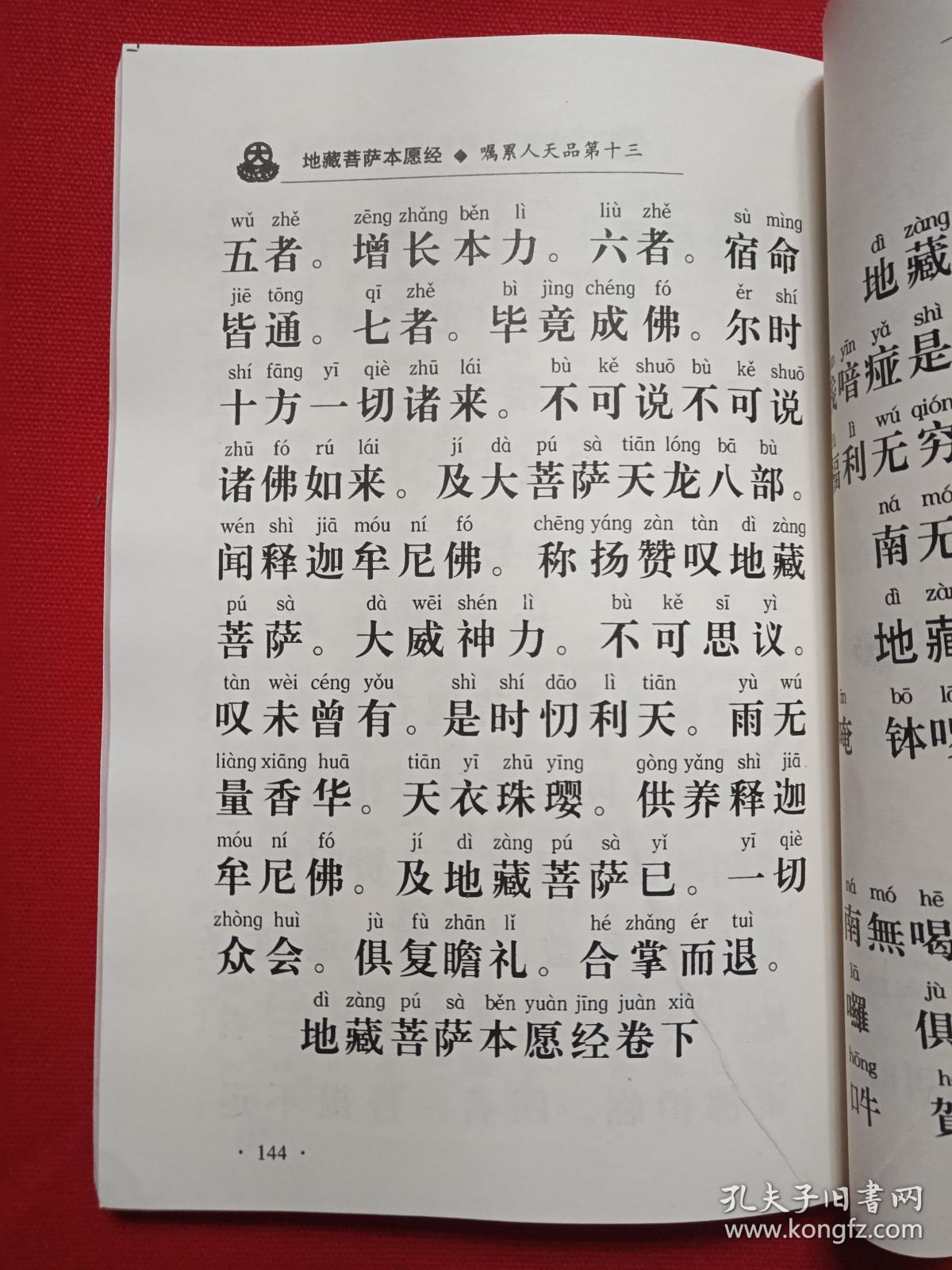 d530527a5ed6004f_b.jpg