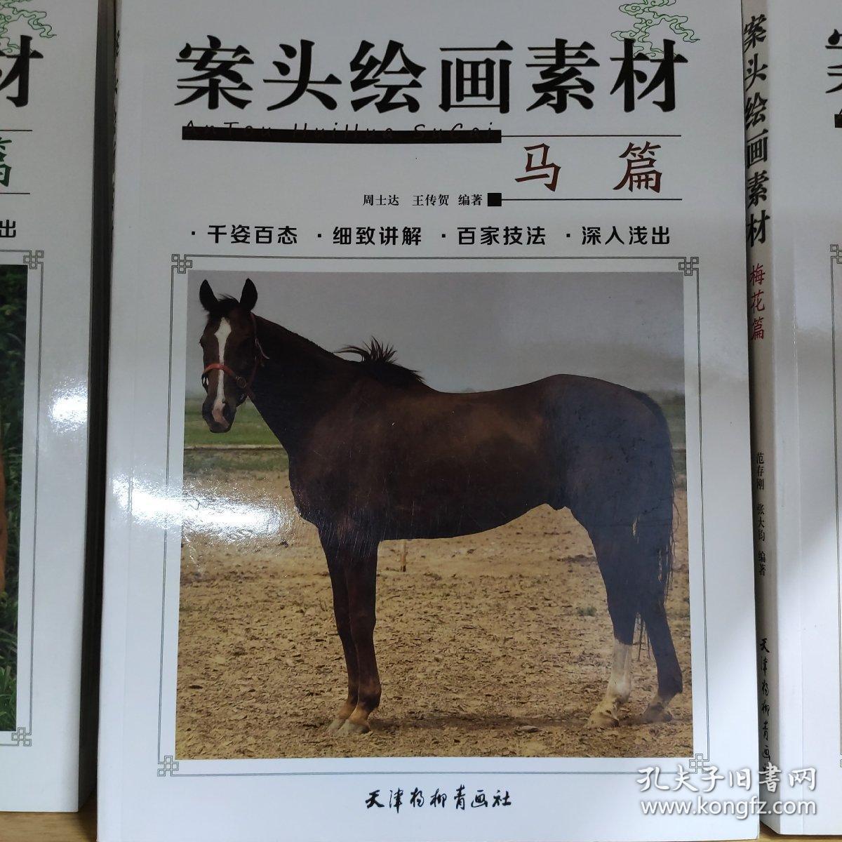 动物百态.马.续集