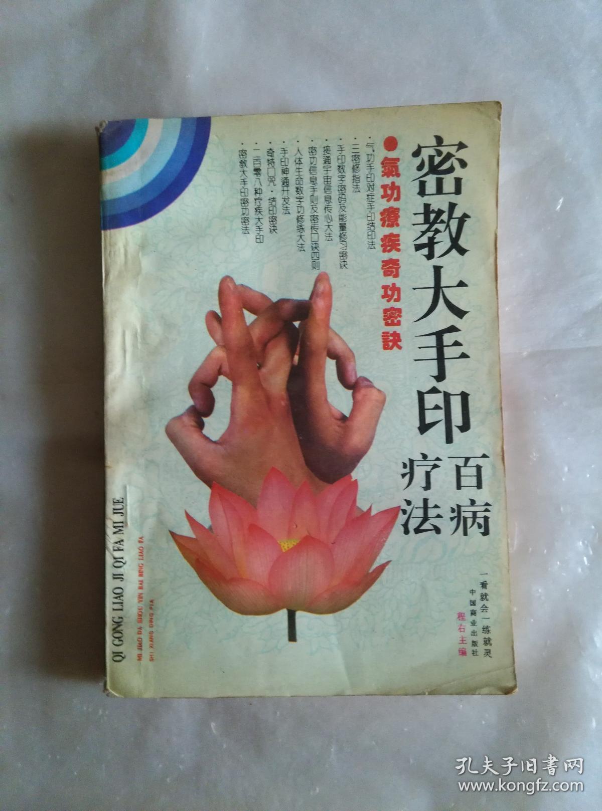 密教大手印百病疗法
