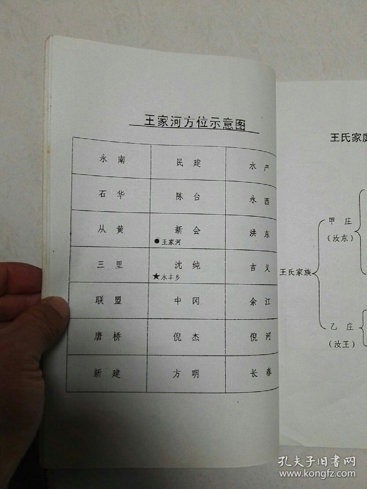 家谱 王氏宗谱(三槐堂 江苏盐城永丰地区 一册全!