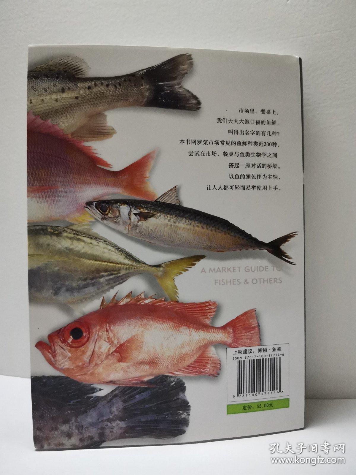 菜市场鱼图鉴
