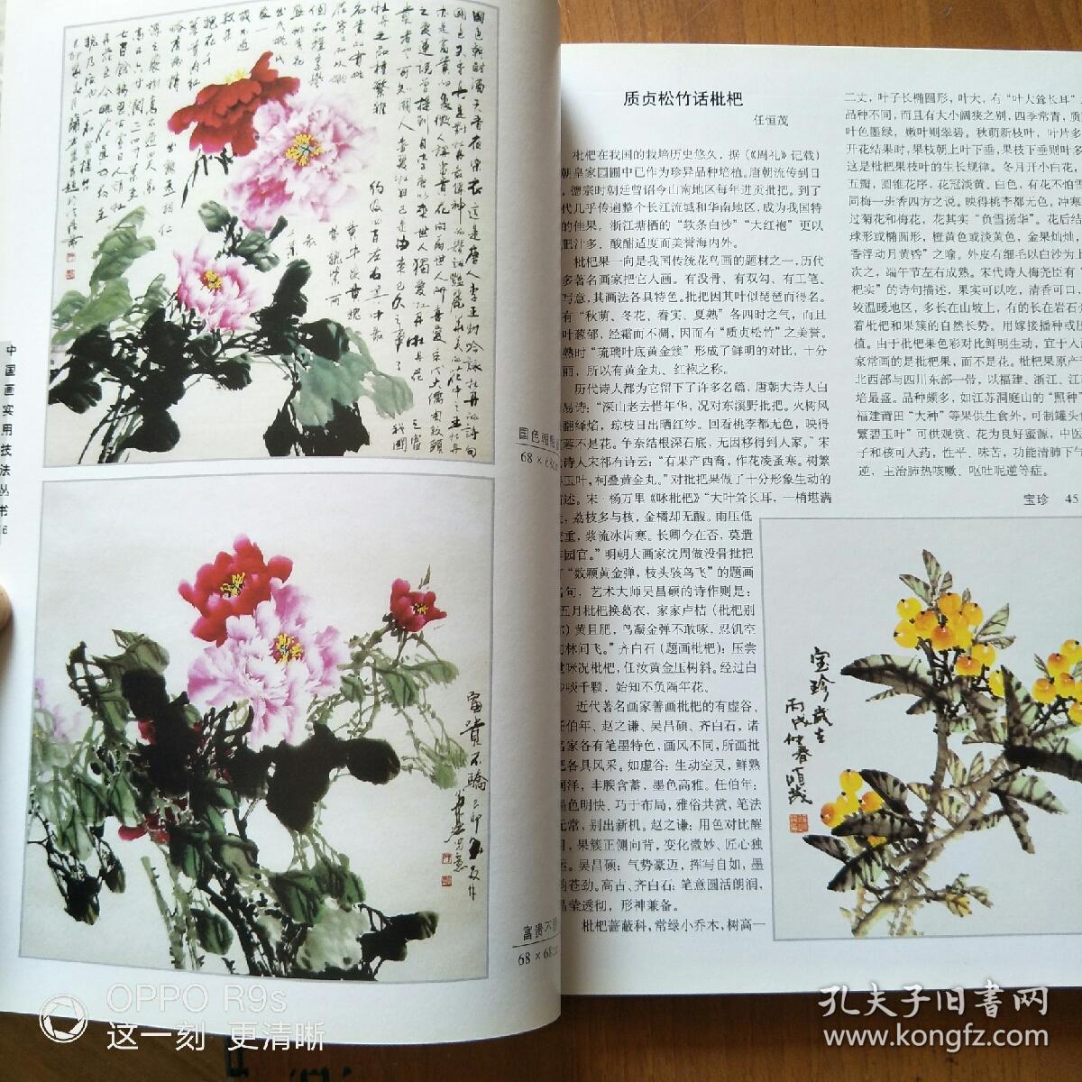 中国画实用技法丛书写意画技法